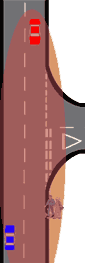 Initial Observations